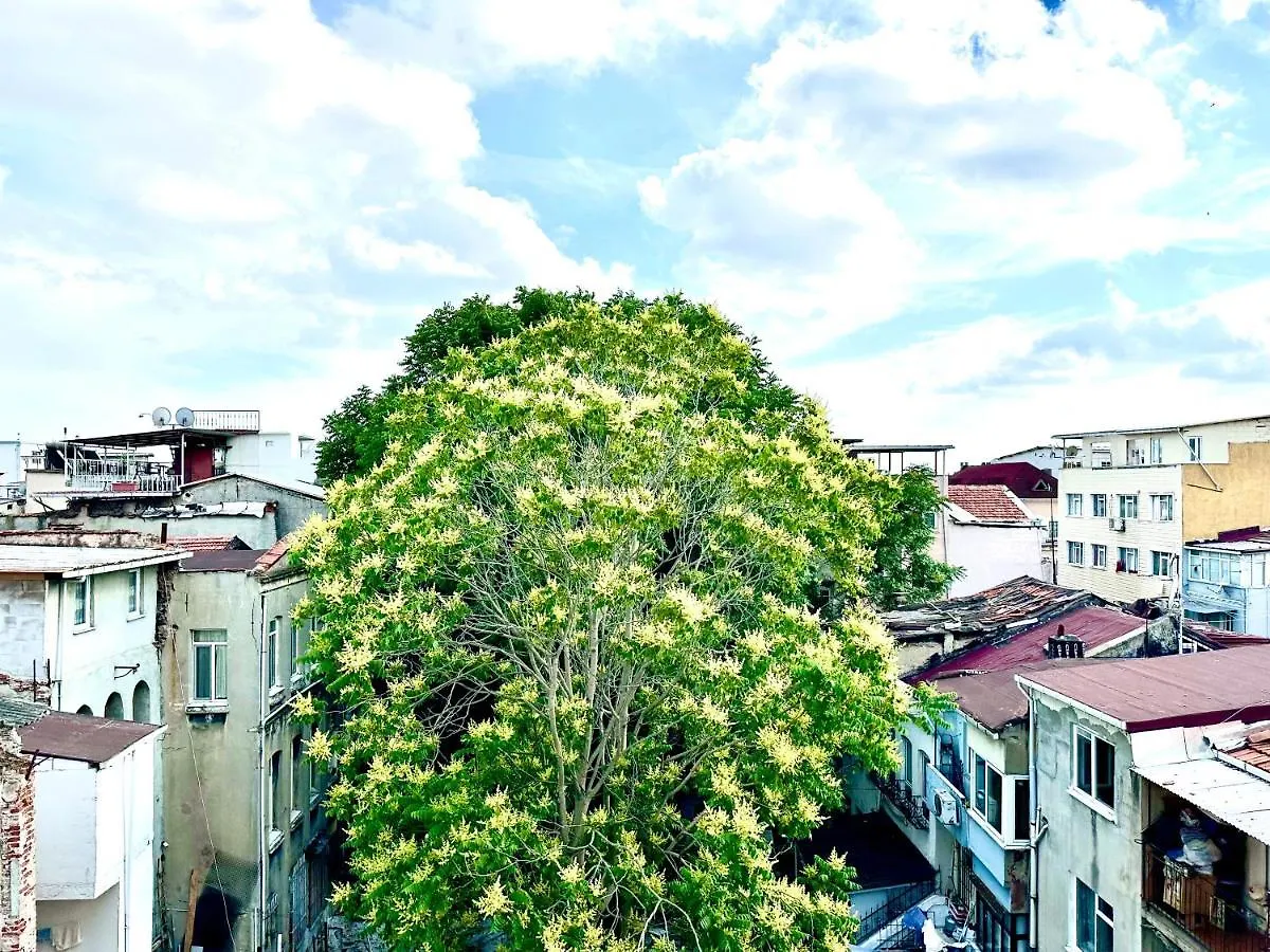 Alaca Suit Estambul Apartahotel